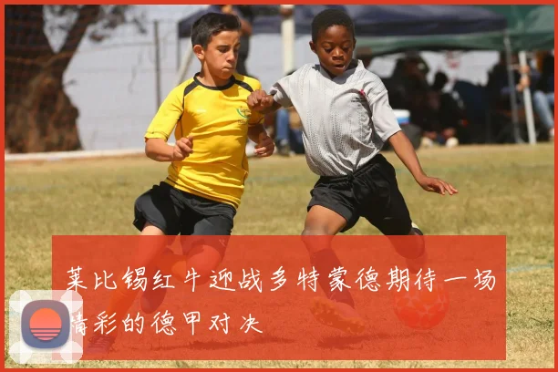莱比锡红牛迎战多特蒙德期待一场精彩的德甲对决